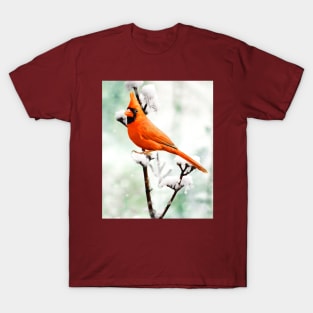 Northern Cardinal Red Bird in Winter T-Shirt